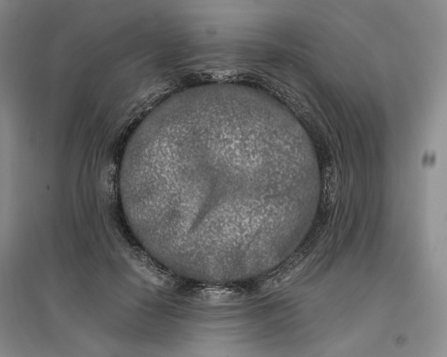 X0000096670650200802261453