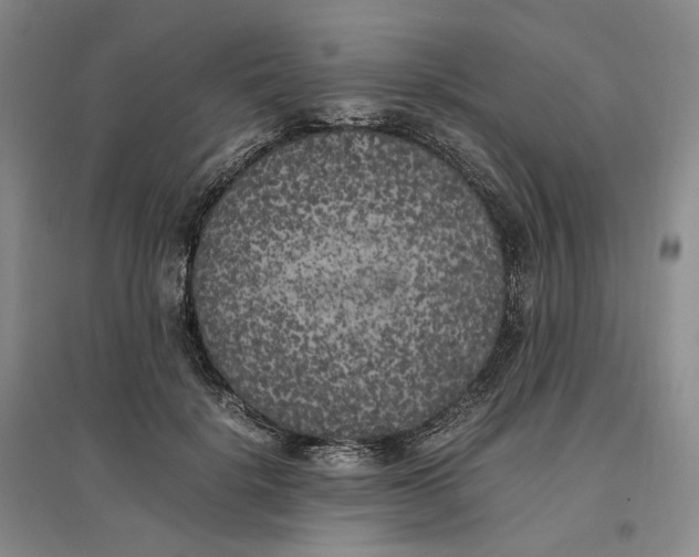 X0000096670652200802261453