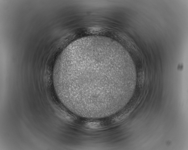 X0000096670653200802261453