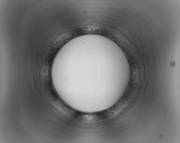 X0000096670654200802261453