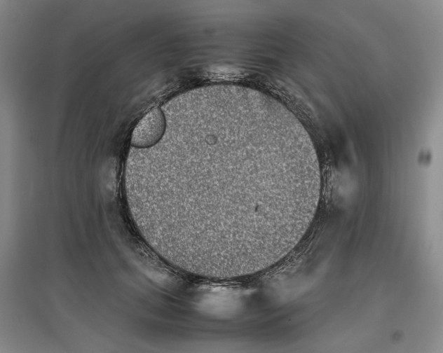 X0000096670655200802261453