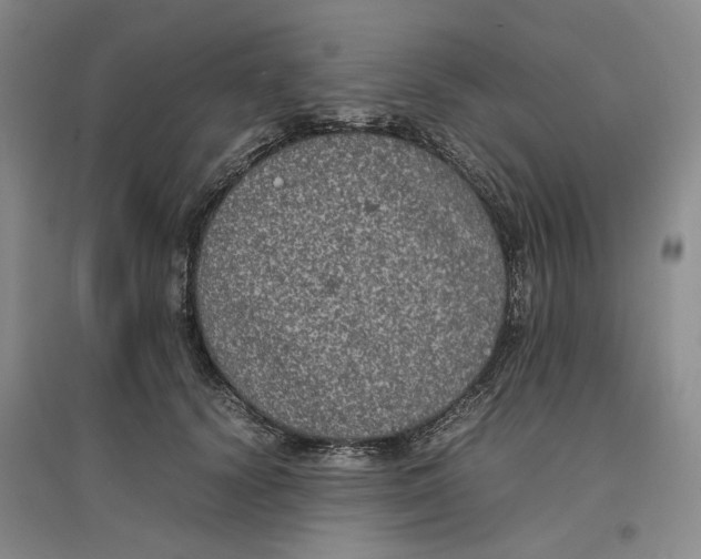 X0000096670656200802261453