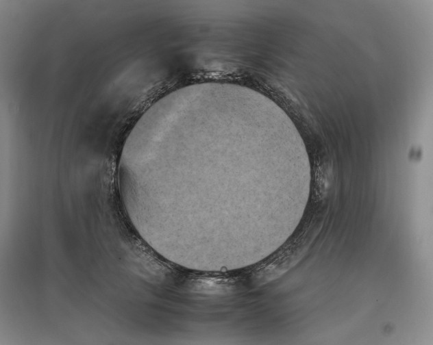 X0000096670657200802261453