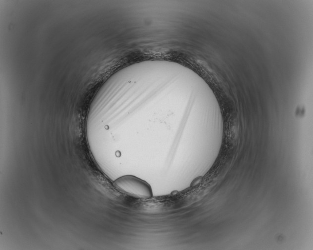 X0000096670658200802261453