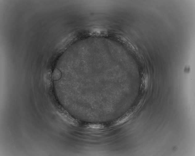 X0000096670659200802261453