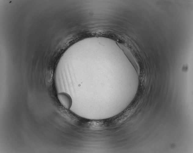 X0000096670660200802261453