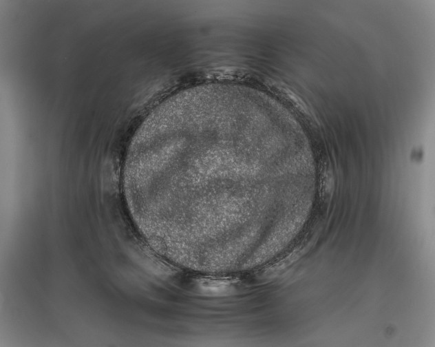 X0000096670661200802261453