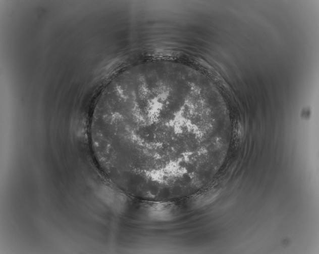 X0000096670663200802261453