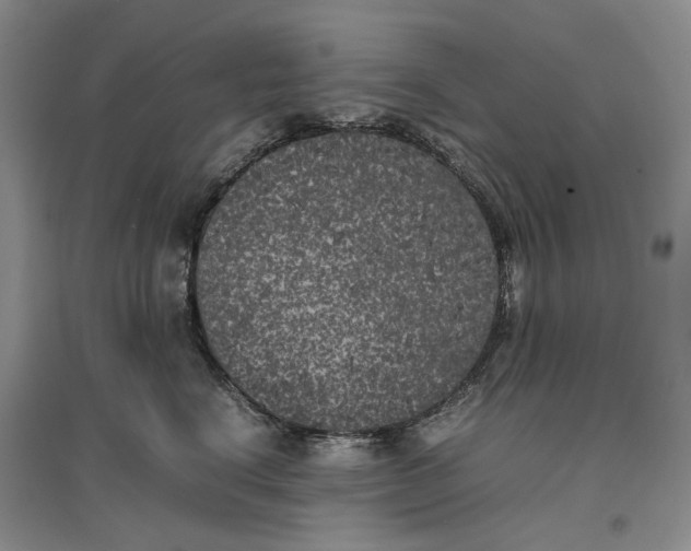 X0000096670664200802261453