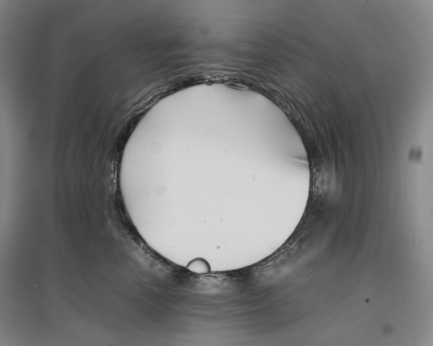 X0000096670666200802261453