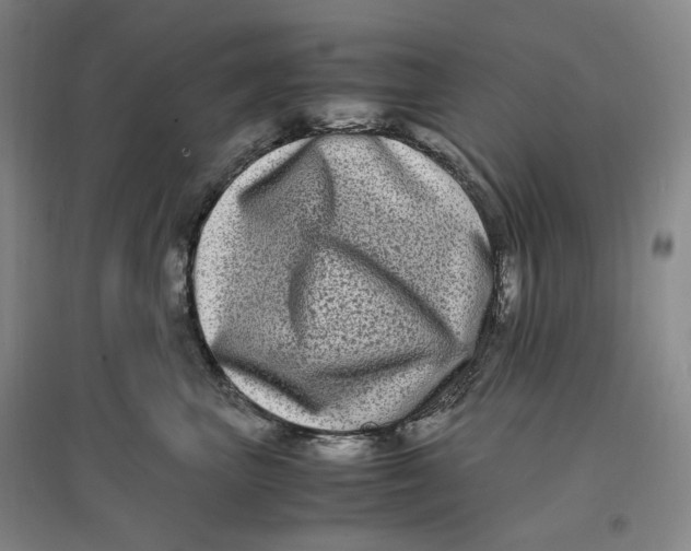 X0000096670667200802261453