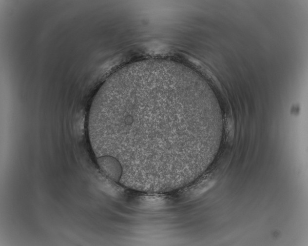 X0000096670668200802261453