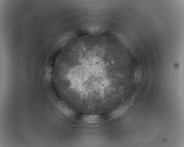 X0000096670671200802261454