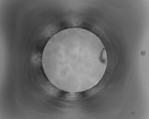 X0000096670672200802261454