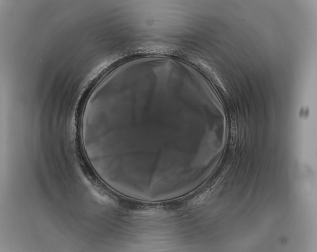 X0000096670674200802261453