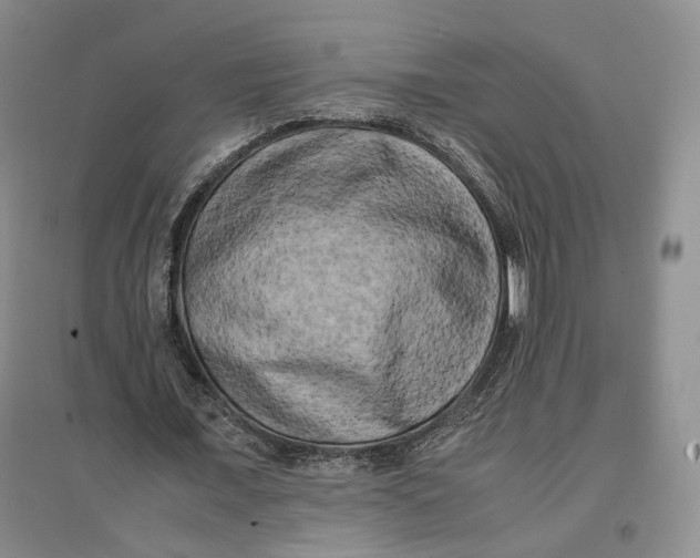 X0000096670675200802261453