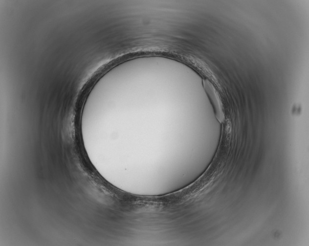 X0000096670676200802261453