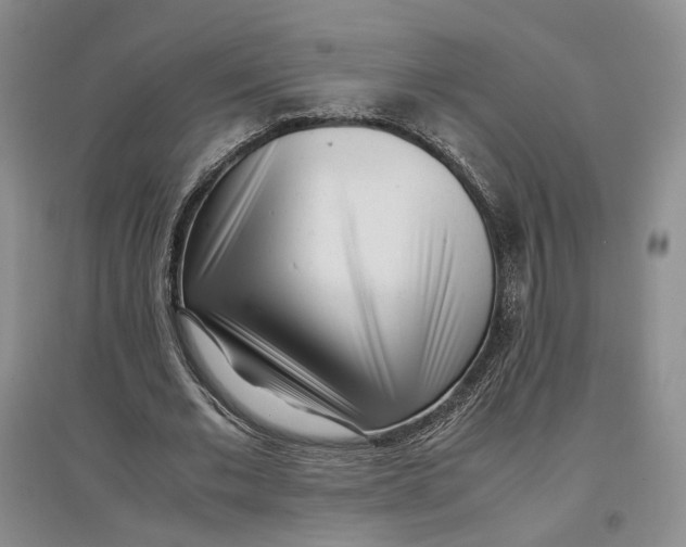 X0000096670677200802261453