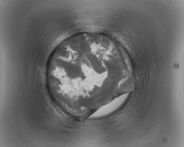 X0000096670679200802261453