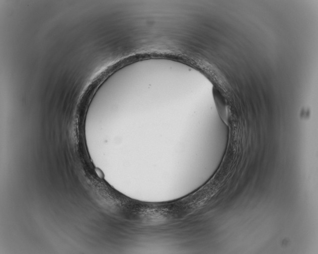 X0000096670680200802261453