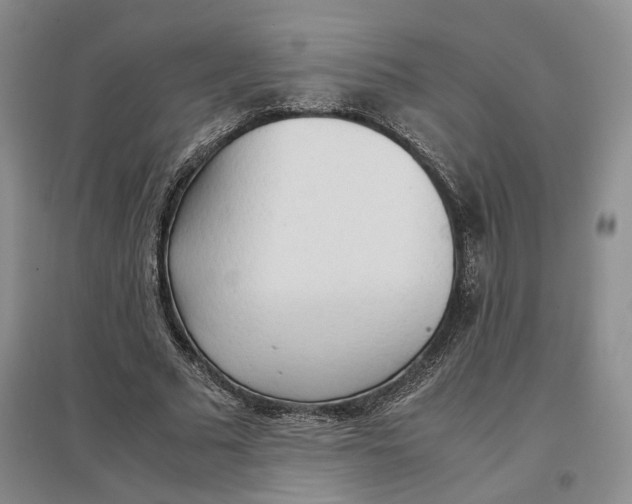 X0000096670681200802261453