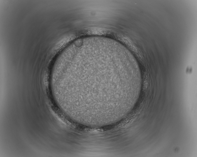 X0000096670683200802261453