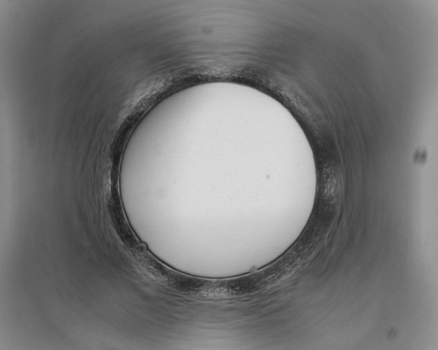 X0000096670685200802261453