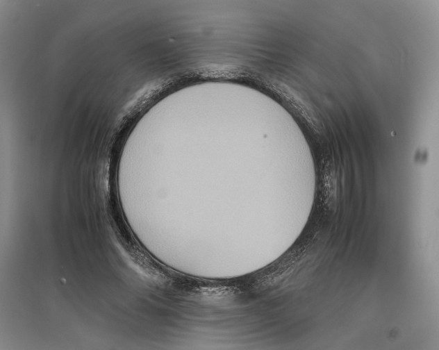 X0000096670686200802261453