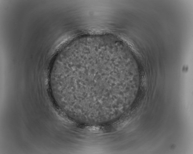 X0000096670687200802261453