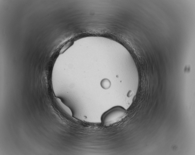 X0000096670688200802261453