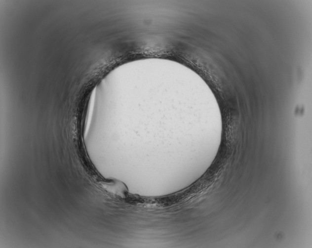 X0000096670689200802261453