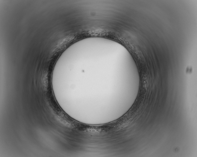 X0000096670690200802261453