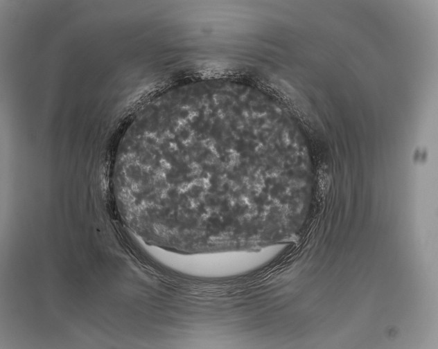 X0000096670691200802261453