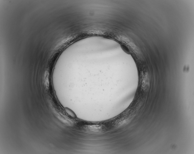 X0000096670692200802261453