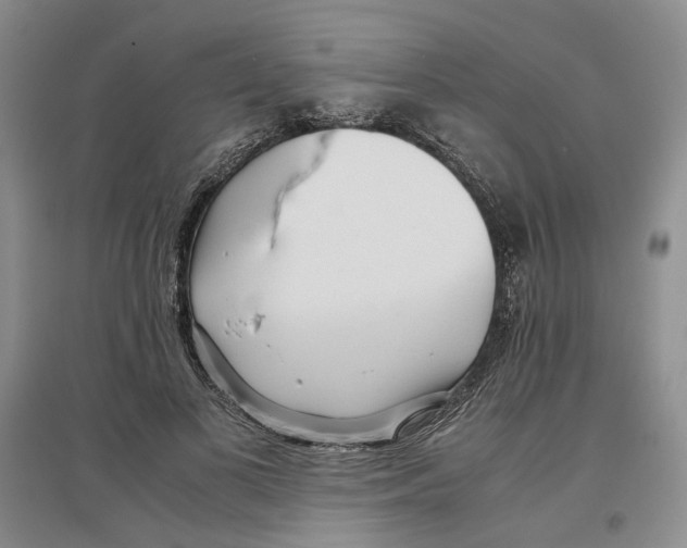 X0000096670693200802261453