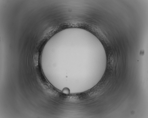 X0000096670694200802261452