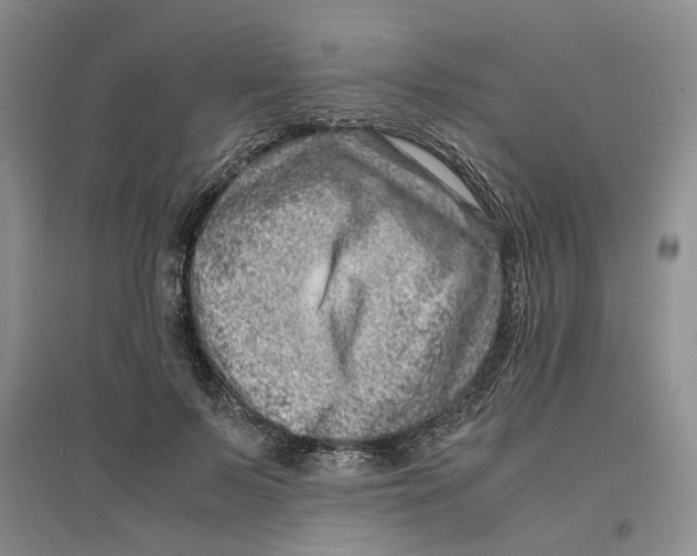 X0000096670695200802261452