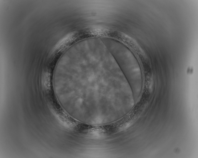 X0000096670696200802261452