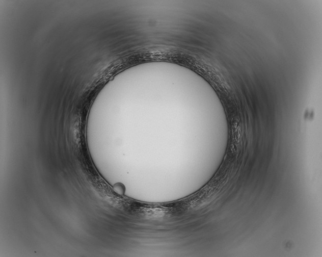 X0000096670698200802261452