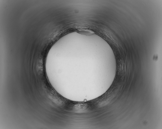 X0000096670700200802261452