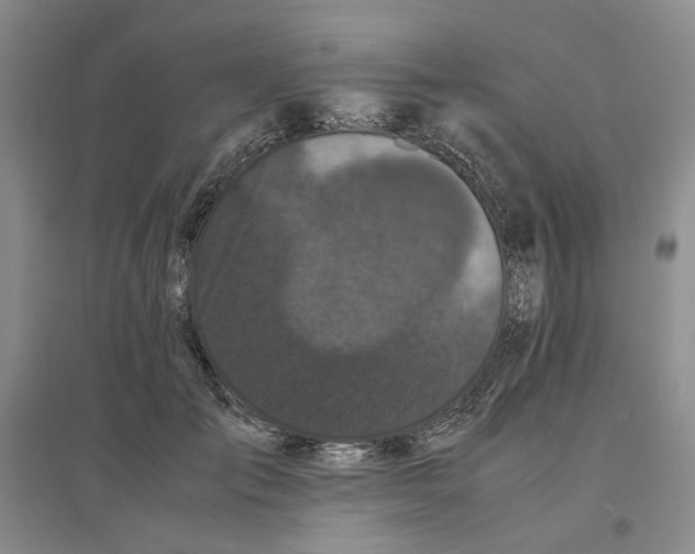 X0000096670701200802261452