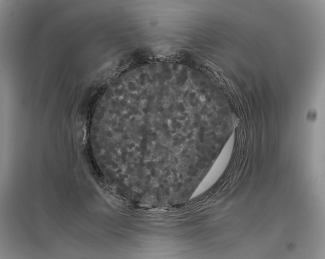 X0000096670703200802261452