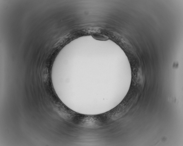 X0000096670704200802261452