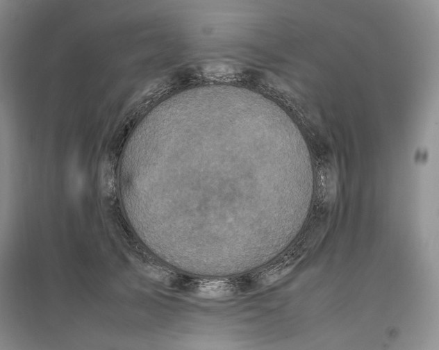 X0000096670705200802261452