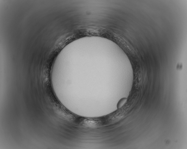 X0000096670706200802261452