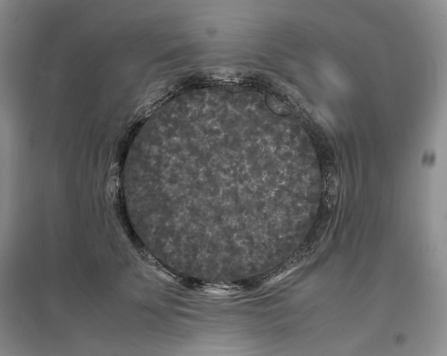 X0000096670707200802261452