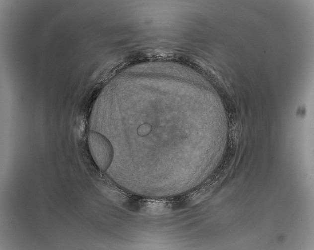 X0000096670709200802261452