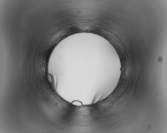 X0000096670710200802261452