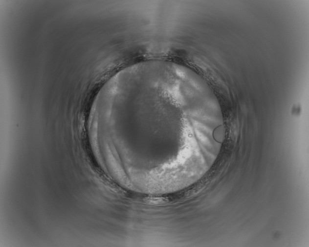 X0000096670711200802261452