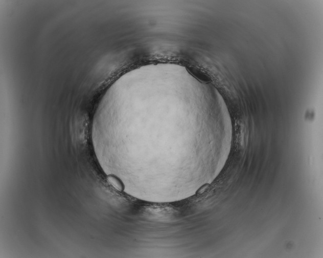 X0000096670712200802261452